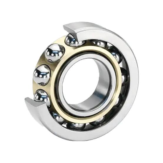 Traction Motor Bearings